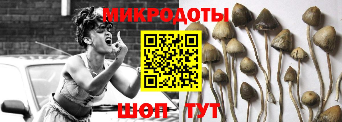 Псилоцибиновые грибы ЛСД Шебекино