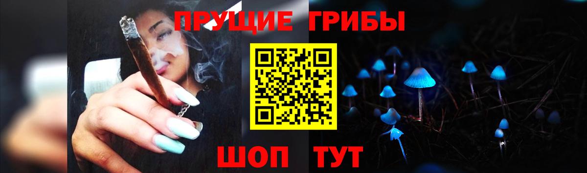 Шебекино  Псилоцибиновые грибы Cubensis  Псилоцибиновые грибы Cubensis  Вход с VPN 
